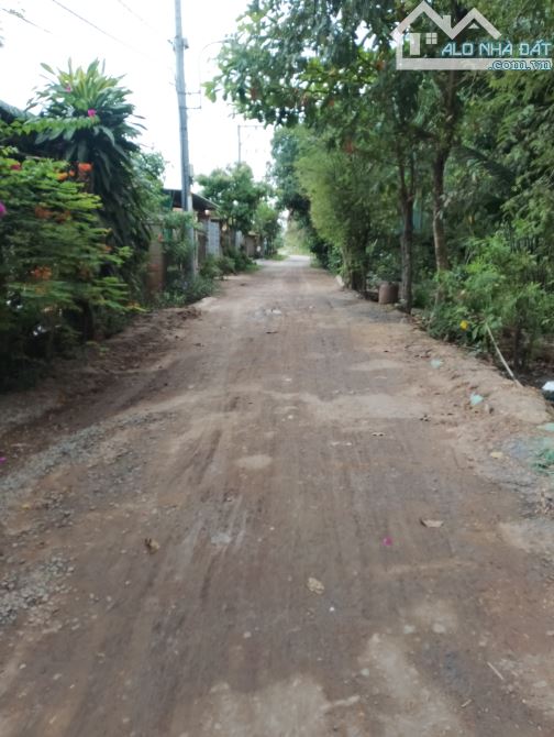 ĐẤT NỀN BÌNH MỸ XÂY DỰNG NGAY XE HƠI VÀO TẬN NƠI DIỆN TÍCH 152M2 (6*25) 100% THỔ CƯ, SHR - 1