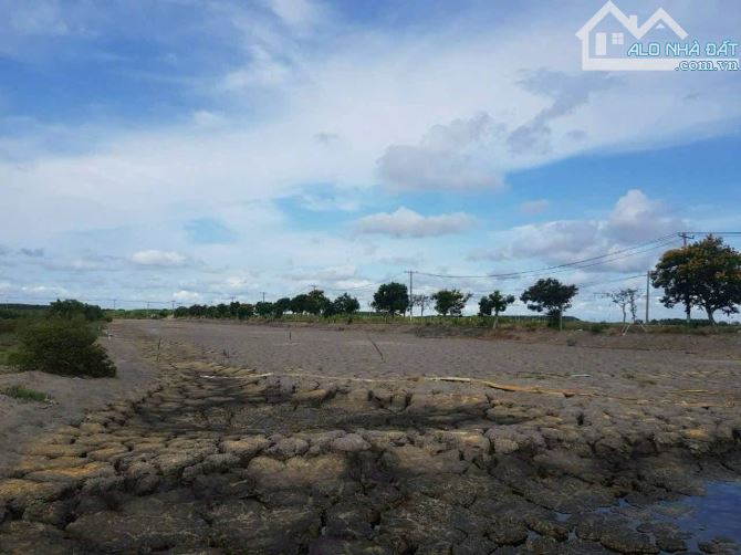 NGỘP NẶNG Đất full thổ 13.000m2 3 mặt tiền đường nhựa - 1