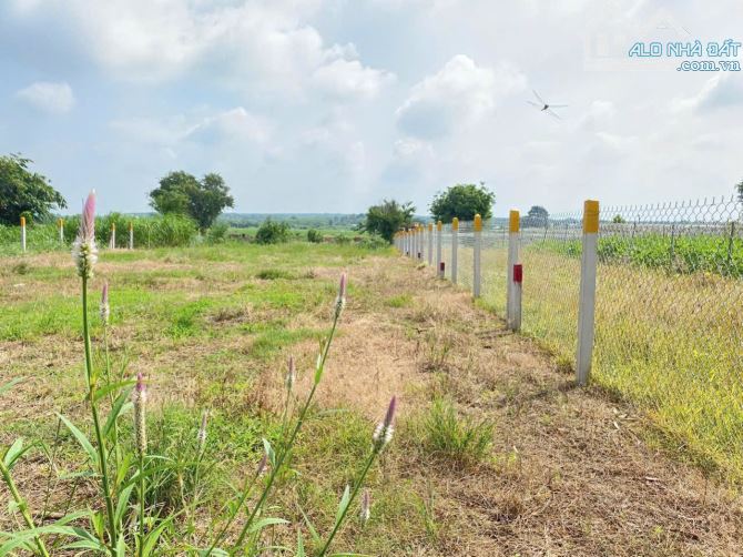 LÔ ĐẤT 1000M2 RẺ NHẤT CỔNG TRƯỚC SÂN BAY LONG THÀNH, PHỦ HỒNG, CÁCH HƯƠNG LỘ 12 CHỈ 200M - 1