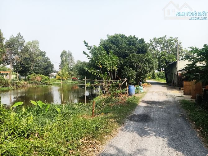 Bán đất 1/ đường Bình Mỹ - 1552m2 - 6.7x81 nở hậu 21m - 100m2 thổ cư - xã Bình Mỹ - Củ Chi - 1
