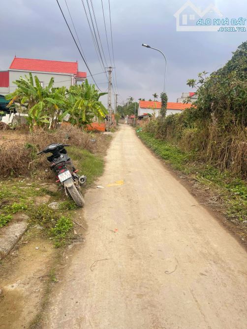 Bán Đất phân lô Mỹ Hào, Hưng Yên 118.3m2, MT 4.6m, ô tô tránh, Ở kinh doanh.1.5 tỷ. - 2