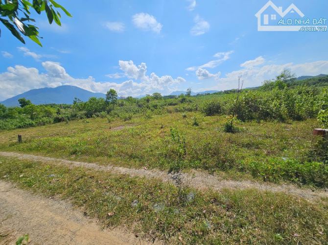 Bán đất vườn Diên Xuân giá rẻ sát bên trục đường nhựa liên xã - cách chợ Đất Sét chỉ 900m - 2