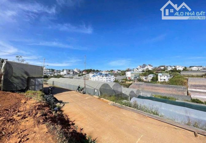LÔ ĐẤT HƠN 300M2 ĐƯỜNG Ô TÔ 4M BẰNG PHẲNG - 2