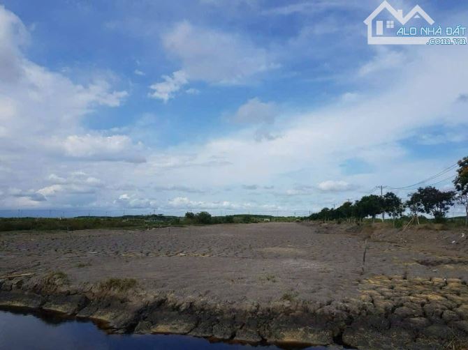 NGỘP NẶNG Đất full thổ 13.000m2 3 mặt tiền đường nhựa - 2