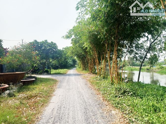 Bán đất 1/ đường Bình Mỹ - 1552m2 - 6.7x81 nở hậu 21m - 100m2 thổ cư - xã Bình Mỹ - Củ Chi - 2