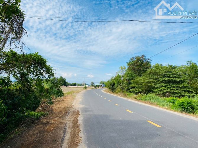 Cách biển 4,5km Sát TL44B 320m2 ngang 10m rộng đẹp giá rẻ chỉ 2tỷ5 - 3