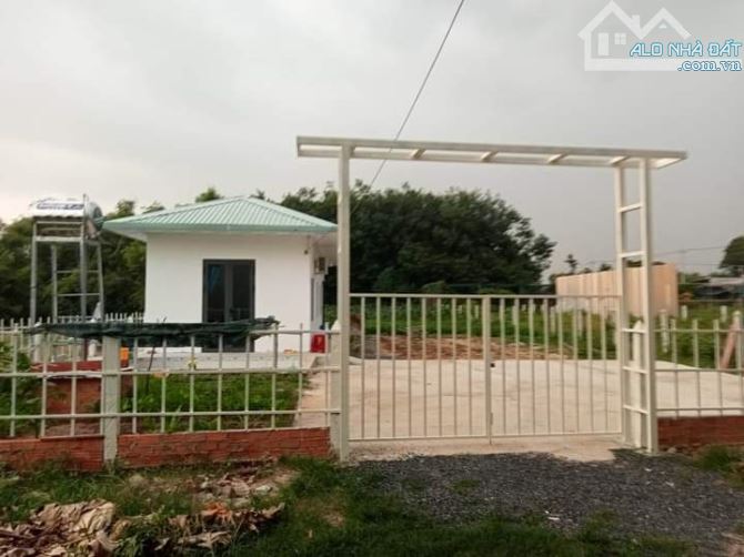 BÁN NHÀ VƯỜN 15X68M THỔ CƯ HẾT ĐẤT GIÁ RẺ NHƯ ĐẤT TRỒNG CÂY - 3