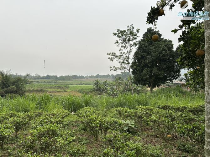 Bán đất 3000m2 Đất Lô góc Thôn  Đồng Bồ Xã Đông Xuân, Quốc Oai, Hà Nội , Giá chỉ 5,3tr/m - 3
