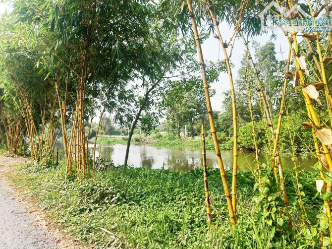 Bán đất 1/ đường Bình Mỹ - 1552m2 - 6.7x81 nở hậu 21m - 100m2 thổ cư - xã Bình Mỹ - Củ Chi - 3