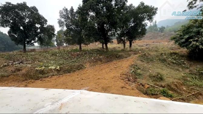 BÁN LÔ ĐẤT 44.000M  CÓHỔ CƯ VIEW ĐỒI , CÓ HỒ SUỐI XUNG QUANH NHIỀU KHU SINH THÁI SÁT VÁCH - 3