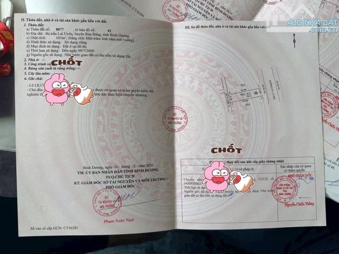 Bán Đất Sau Lưng Trung Tâm Hành Chính Huyện Bàu Bàng - 3