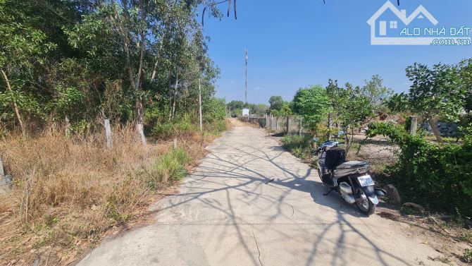 bán đất 10x31 full thổ cư P.Tân An, Thị Xã LaGi, Bình Thuận. đường ô tô, giá rẻ - 4