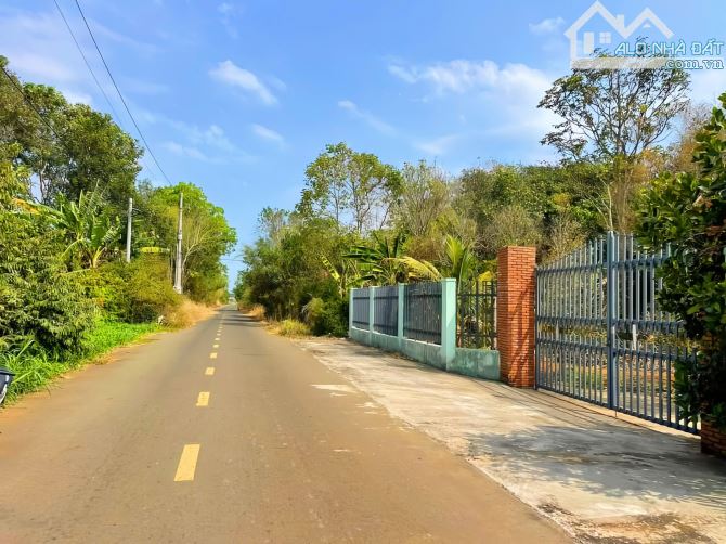 Cần bán vườn trái cây trĩu quả 1.253m2 đất, mặt tiền đến 27m, sau lưng có suối Long Phước - 4