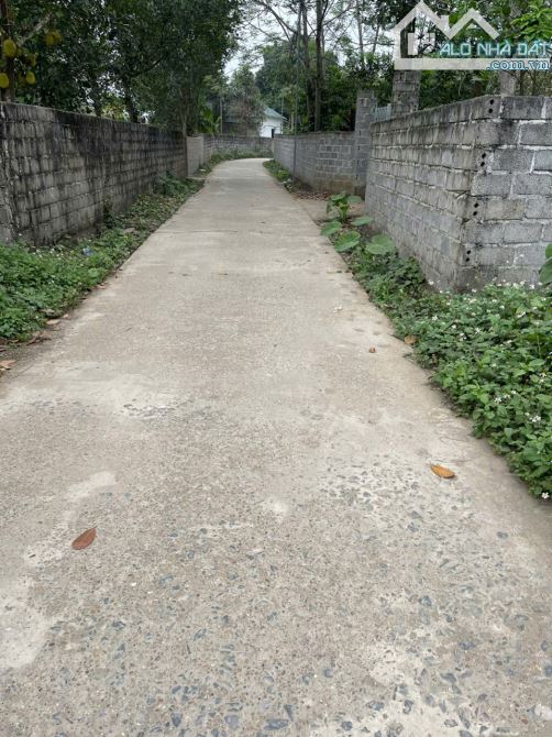 Cần chuyển nhượng nhanh DT: 1119m2/200m2 ONT tại xã Cao Sơn, Lương Sơn, Hòa Bình - 4
