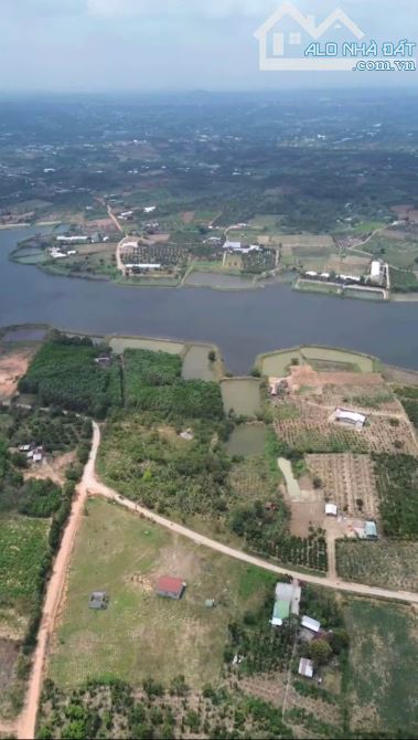 Đất Vườn 3734m2_400m2 Thổ Cư_Đường QH 33m_27m mặt tiền_Gần Hồ Lớn_ chỉ 550 Triệu - 4