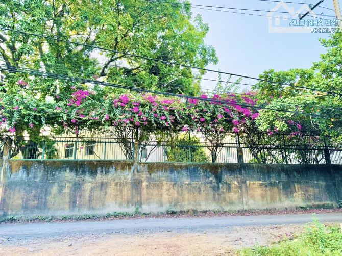 Bán 1013m2 Đất Sổ Riêng P. An Thạnh Thuận An Bình Dương. - 5