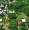 Đất xây nhà vườn 1100m2 có 200m2 đất ở ngang 20m rất đẹp xã hòa phú