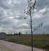BÁN ĐẤT MT NGUYỄN VĂN CỪ, GẦN SÂN BAY QUỐC TẾ LONG THÀNH CHỈ CÓ 9TR/M2, SỔ HỒNG RIÊNG