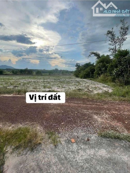 Cần ra gấp mảnh này 250m2 có 100tc đường oto tới đất giá chỉ 3xx