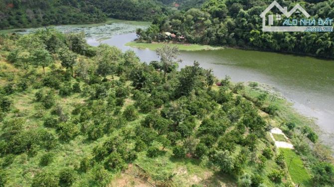 Bán 25 Ha đất rẫy ở huyện Cưjut Đăk Nông giá 170 triệu/sào - 11