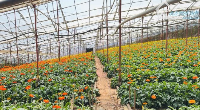 ✨{GIÁ RẺ} VỀ QUÊ BÁN GẤP LÔ ĐẤT 3000M2 NGANG HƠN 100M - QUY HOẠCH ĐẤT Ở. GIÁ 4.5TR/M2 - 1