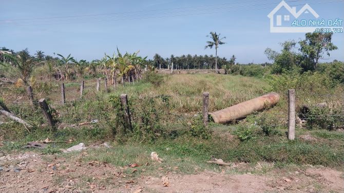 Bán đất mặt tiền đường Nguyễn Đáng nối dài xã Đại Phúc - 1