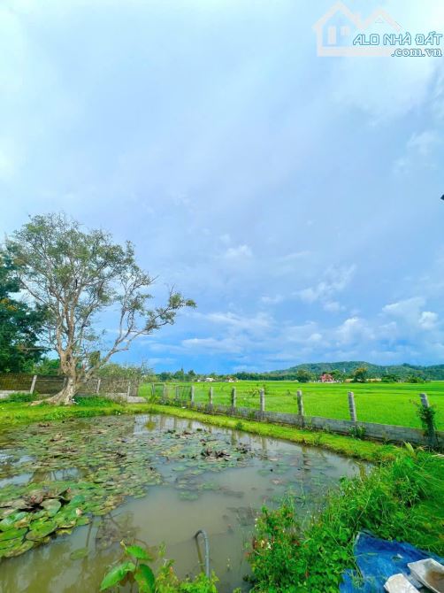 BÁN 3.000M2 (800M2 THỔ CƯ) VIEW XIN SÒ ĐẠI LỘ ĐÔNG TÂY (có hình đính kèm) - 1