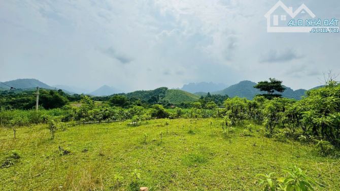 Bán đất Kim Bôi, Lương Sơn, Hoà Bình, Lô góc Full thổ cư 1840m2 - 1