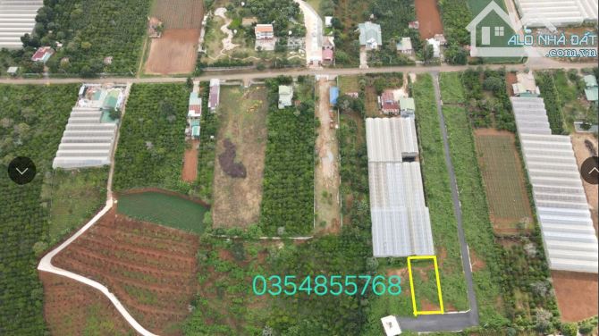 Cần bán đất tà nung tp Đà Lạt - 2