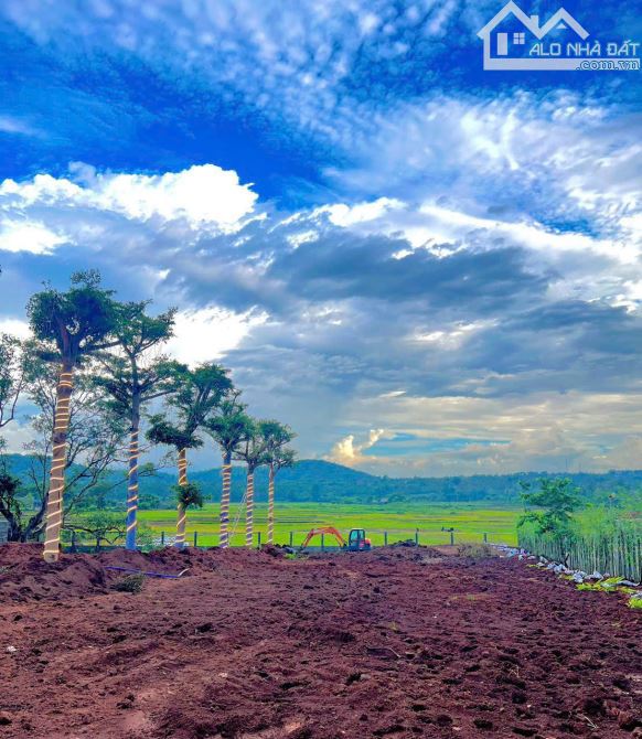 BÁN 3.000M2 (800M2 THỔ CƯ) VIEW XIN SÒ ĐẠI LỘ ĐÔNG TÂY (có hình đính kèm) - 2
