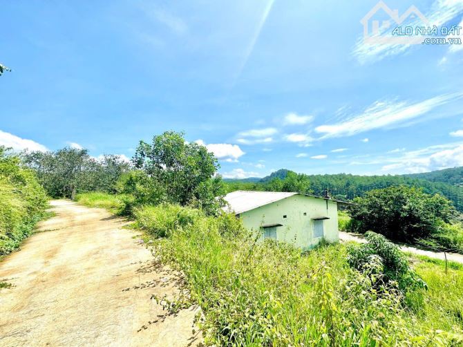 BÁN ĐẤT VIEW ĐẸP XUÂN THỌ ĐÀ LẠT THUẬN TIỆN NGHỈ DƯỠNG - 2