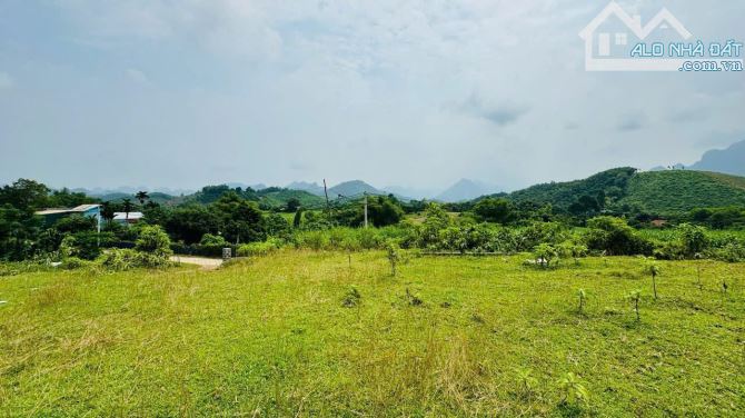 Bán đất Kim Bôi, Lương Sơn, Hoà Bình, Lô góc Full thổ cư 1840m2 - 2