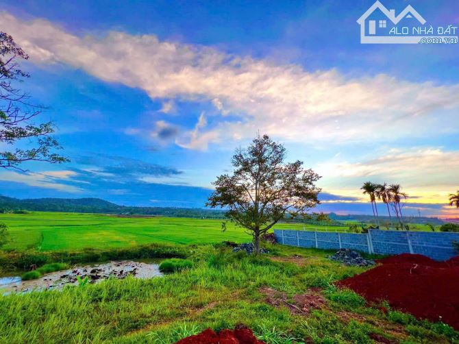 BÁN 3.000M2 (800M2 THỔ CƯ) VIEW XIN SÒ ĐẠI LỘ ĐÔNG TÂY (có hình đính kèm) - 3