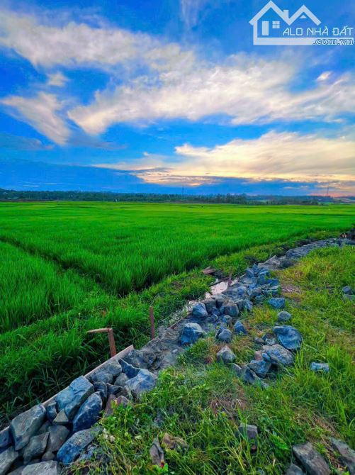 BÁN 3.000M2 (800M2 THỔ CƯ) VIEW XIN SÒ ĐẠI LỘ ĐÔNG TÂY (có hình đính kèm) - 4