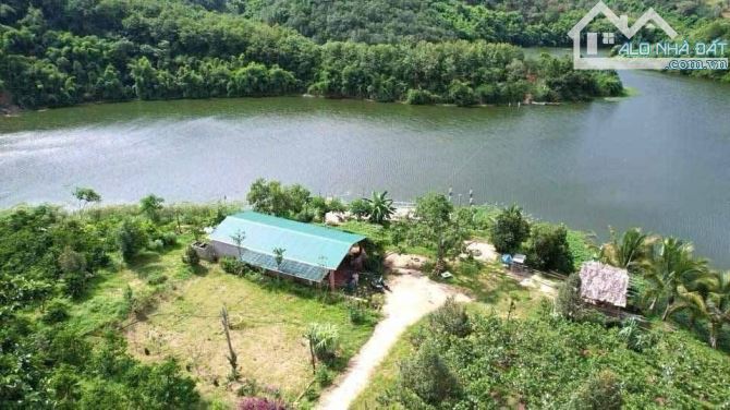 Bán 25 Ha đất rẫy ở huyện Cưjut Đăk Nông giá 170 triệu/sào - 5
