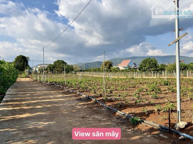 ✨ Chỉ 539TR/ Lô Đất: 5x23m (75m2 ONT), ven Đà Lạt, xung quanh có rất nhiều Home Nghỉ Dưỡng - 5