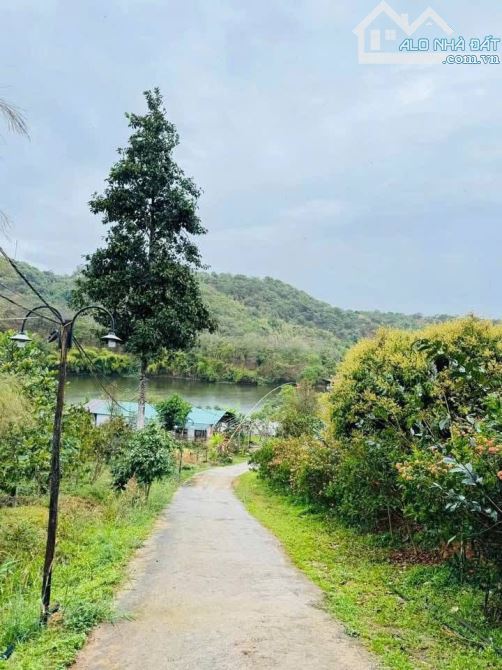 Bán 25 Ha đất rẫy ở huyện Cưjut Đăk Nông giá 170 triệu/sào - 6