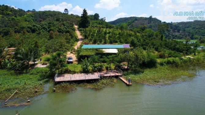 Bán 25 Ha đất rẫy ở huyện Cưjut Đăk Nông giá 170 triệu/sào - 7