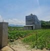 Bán 1300m2 - Có nhà Yến trên đất - Cách LĐS.Môn 100m -  Cam Hiệp Bắc - Cam Lâm