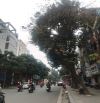 MẶT PHỐ HUẾ 120M ĐẸP NHẤT QUẬN HAI BÀ TRƯNG 120M2 - LÔ GÓC - MT RỘNG, VỈA HÈ 5M GIÁ 60 TỶ