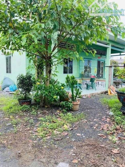 BÁN VƯỜN BƯỞI 2500m2 Có Thổ Cư Giá 200triệu