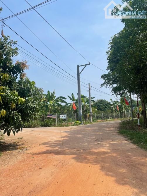 Cần bán đất sào, diện tích rộng, giá hợp lý
