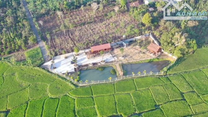 Đất thôn 5 Eabar view cánh đồng gần trường học cách trung tâm phố 8km