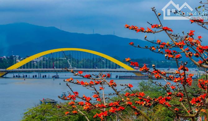 🌿 MẶT TIỀN VIEW SÔNG HƯƠNG – ĐƯỜNG NGUYỄN PHÚC NGUYÊN, TP HUẾ 🌿  🔥 Vị trí đắt giá