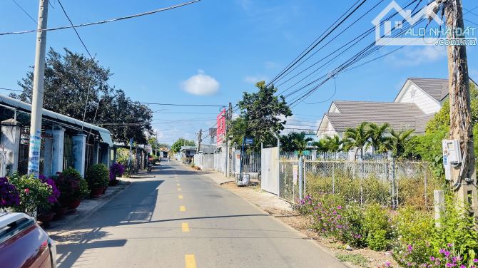 BÁN ĐẤT THỊ TRẤN ĐẤT ĐỎ BÀ RỊA VŨNG TÀU