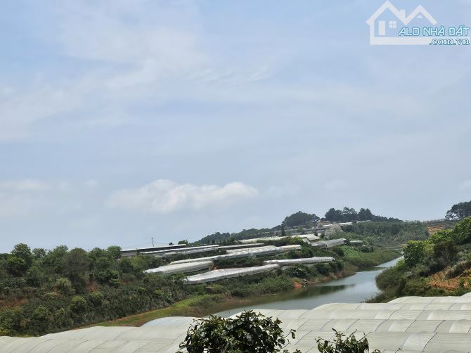 Bán lô đất nông nghiệp chuyển đổi xây dựng được trên đồi chè Cầu Đất – Đà Lạt.1000m² 3ti