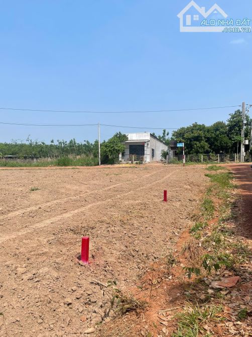 Cần bán đất sào, diện tích rộng, giá hợp lý - 1