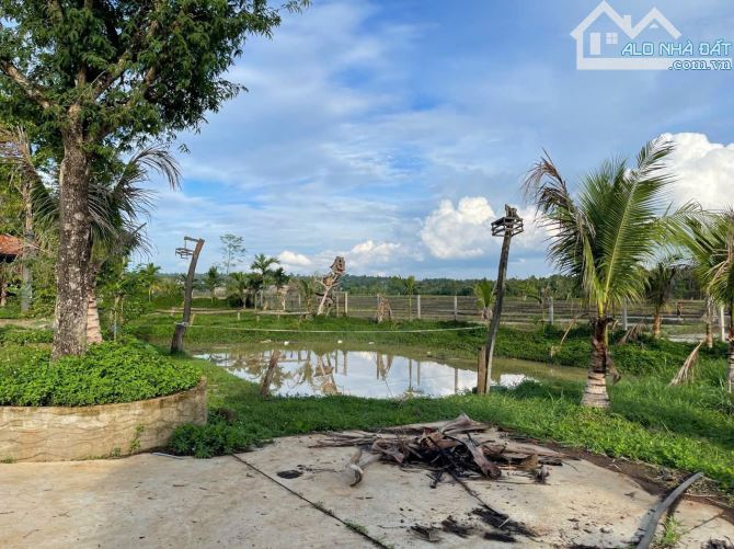 Đất thôn 5 Eabar view cánh đồng gần trường học cách trung tâm phố 8km - 1