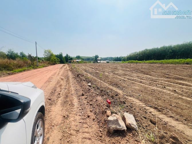 Cần bán đất sào, diện tích rộng, giá hợp lý - 2