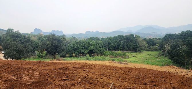 BÁN MẢNH ĐẤT RỘNG 4,4Ha ĐẤT ĐẸP MIỄN CHÊ - 2
